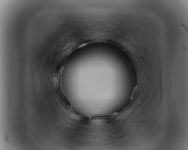 X0000091960432200709061104