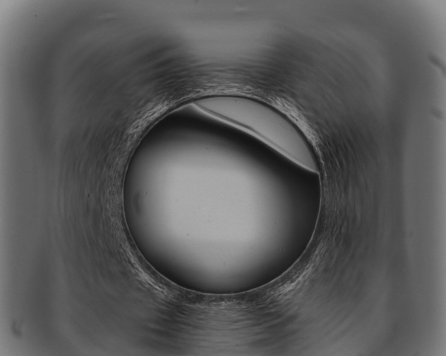X0000091960433200709061103