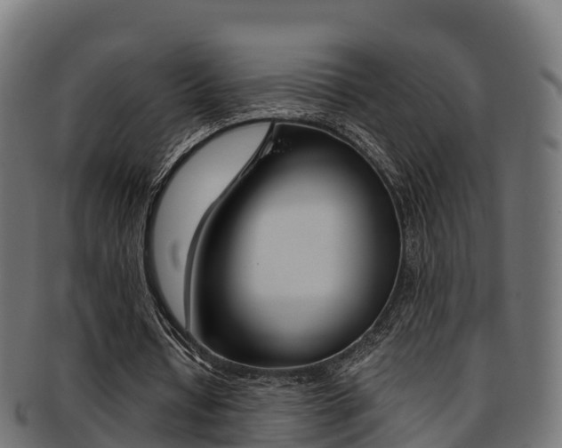 X0000091960434200709061103