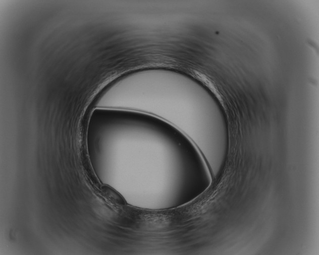 X0000091960435200709061103