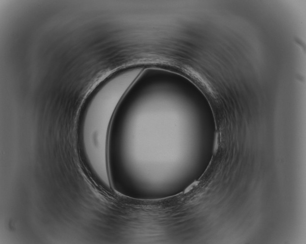 X0000091960436200709061103