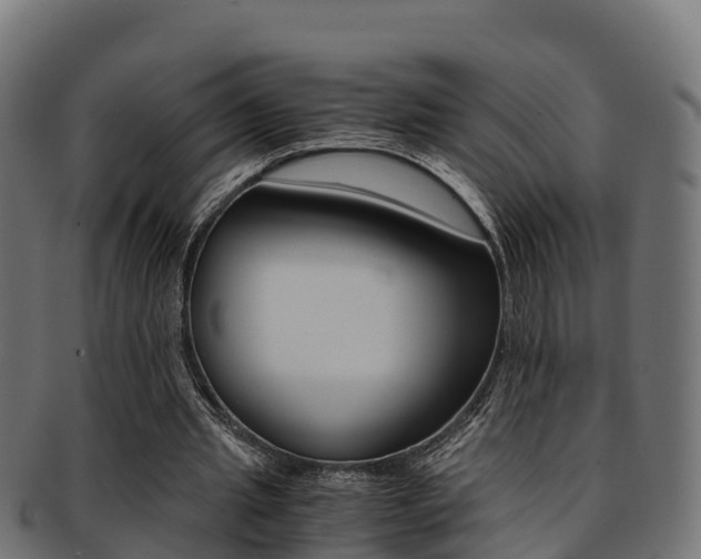 X0000091960437200709061103