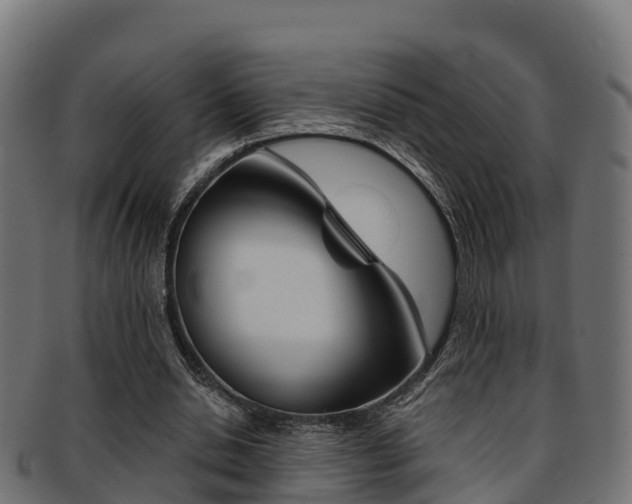 X0000091960438200709061103
