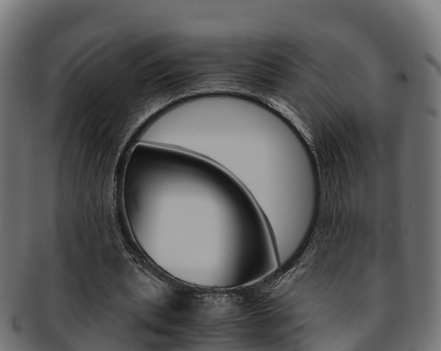 X0000091960439200709061103