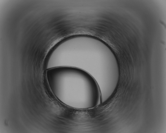X0000091960440200709061103