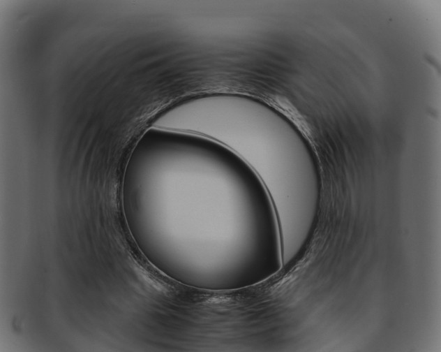 X0000091960441200709061103