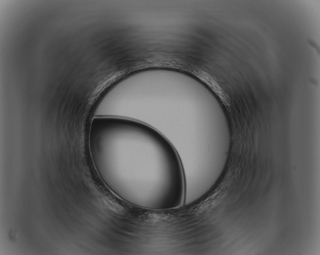 X0000091960442200709061103