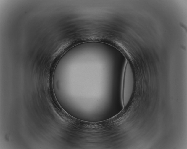 X0000091960443200709061103