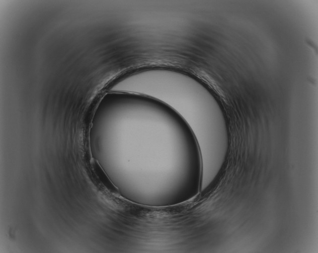 X0000091960444200709061103