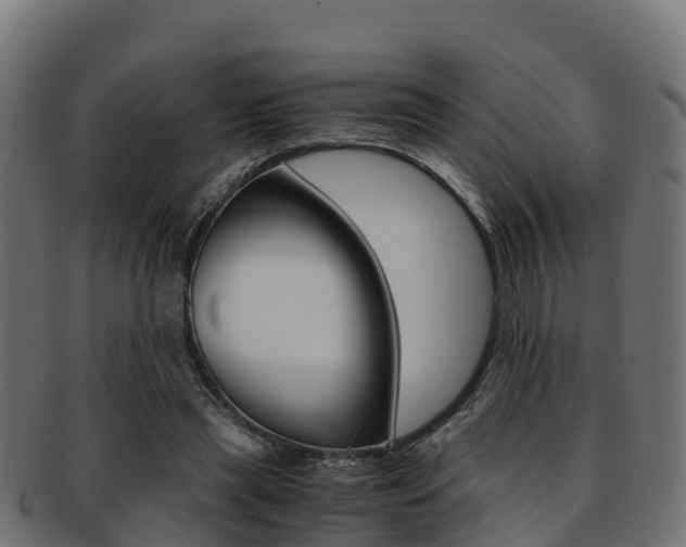 X0000091960445200709061103