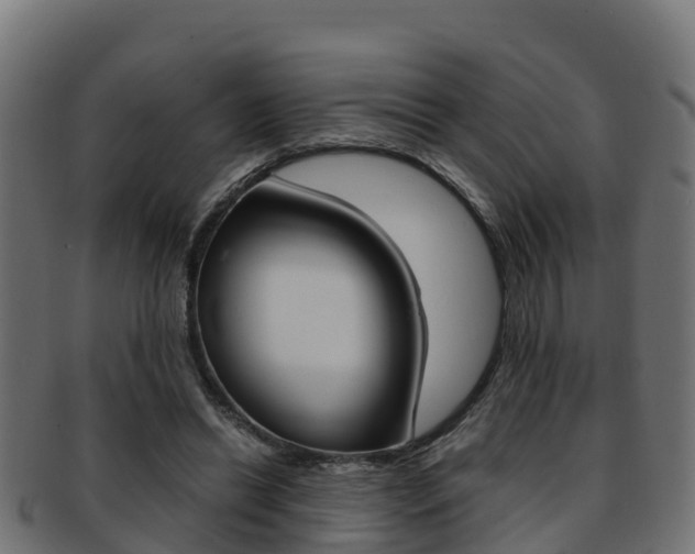 X0000091960446200709061103