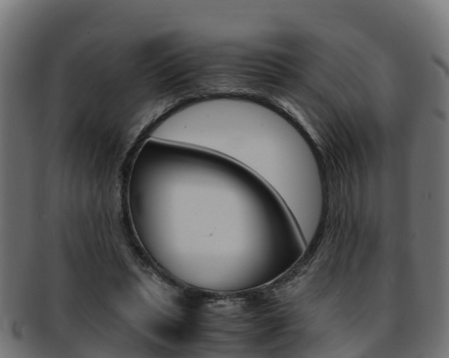 X0000091960447200709061103