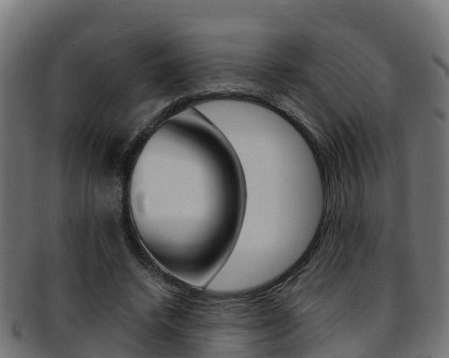 X0000091960448200709061103