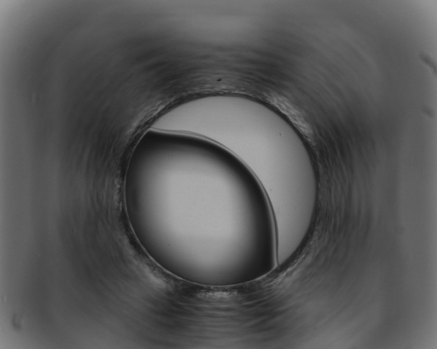 X0000091960449200709061103