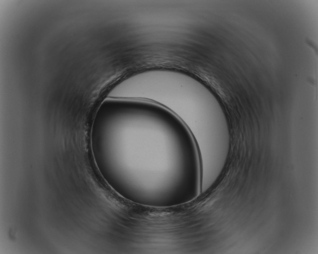 X0000091960450200709061103