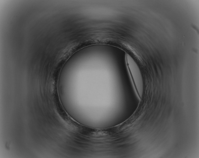 X0000091960451200709061103