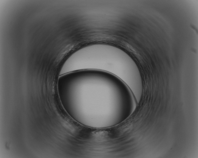 X0000091960452200709061103