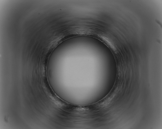 X0000091960453200709061103