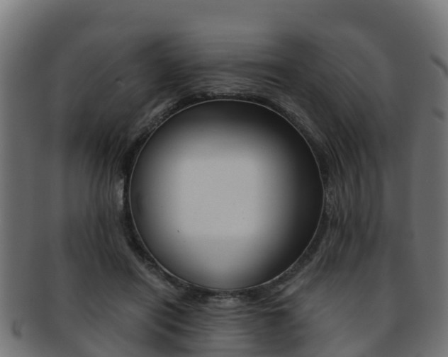 X0000091960454200709061103