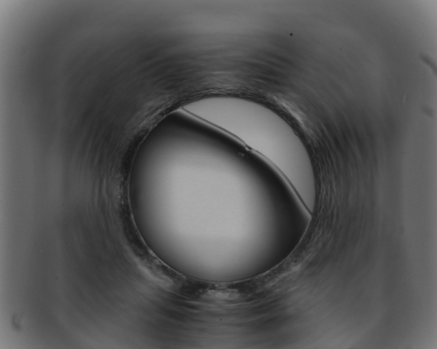 X0000091960455200709061103