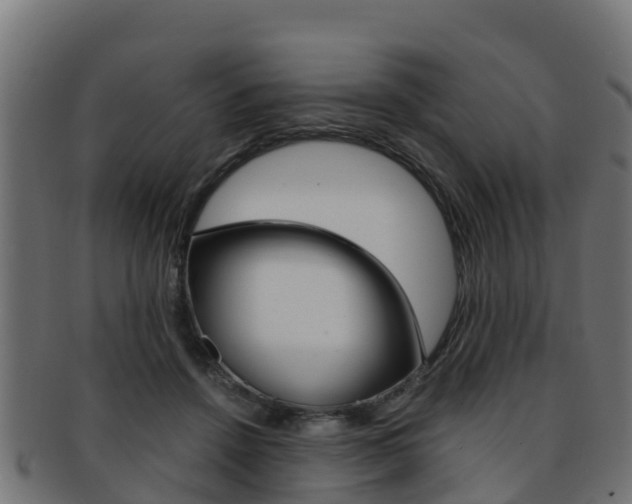 X0000091960456200709061103
