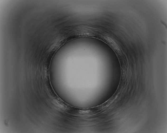 X0000091960457200709061104