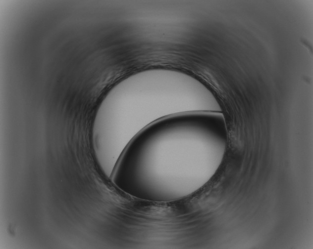 X0000091960458200709061104
