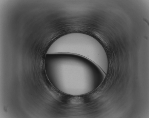 X0000091960459200709061104