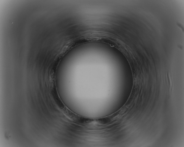 X0000091960460200709061104