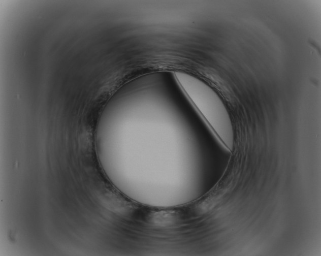 X0000091960461200709061104