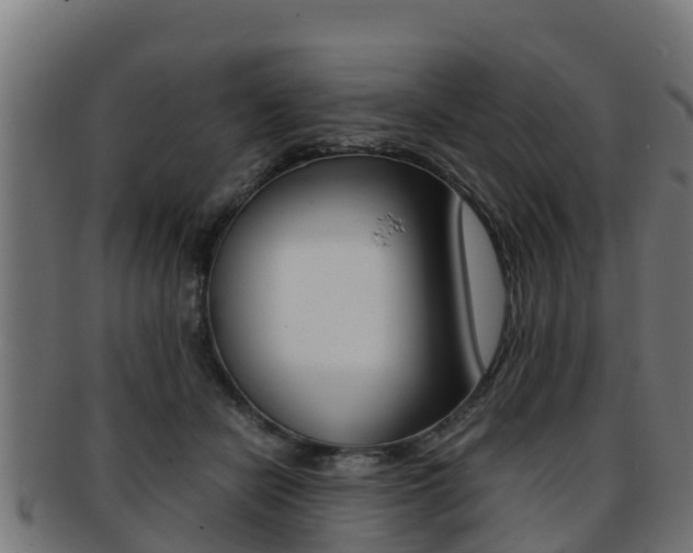 X0000091960462200709061104