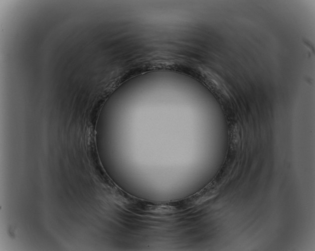 X0000091960463200709061104