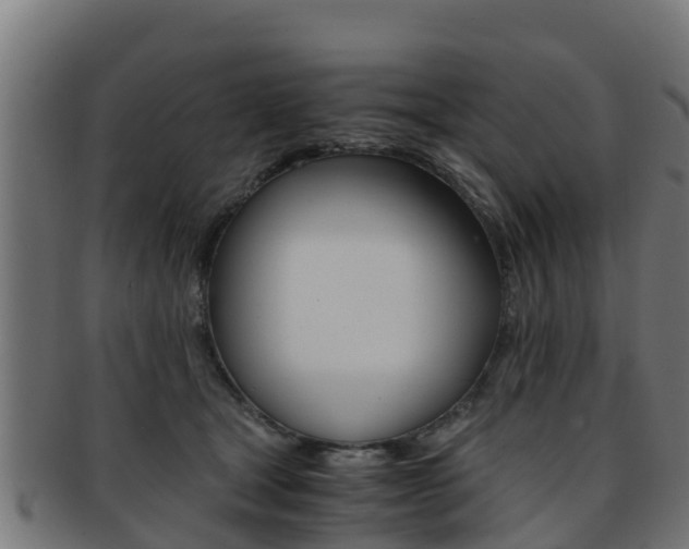 X0000091960465200709061104
