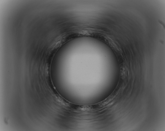 X0000091960466200709061104
