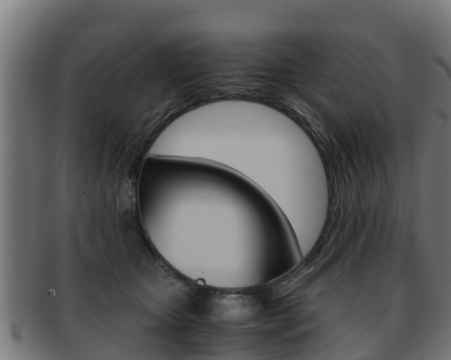 X0000091960467200709061104