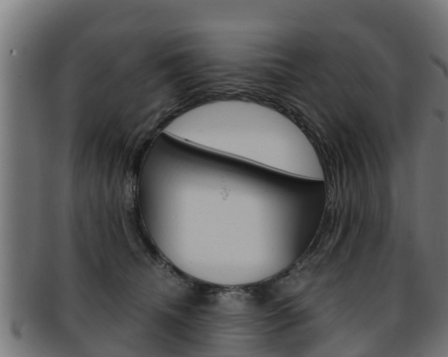 X0000091960468200709061104