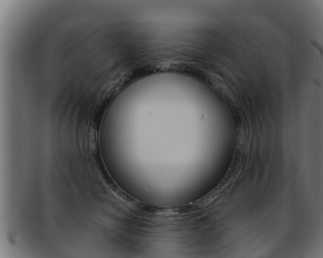 X0000091960470200709061104