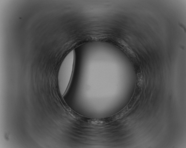 X0000091960471200709061104