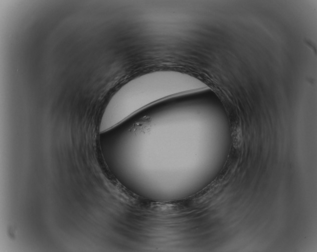 X0000091960472200709061104