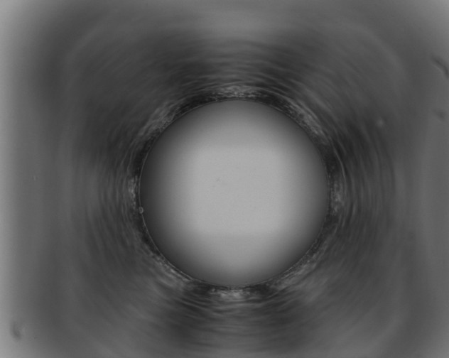 X0000091960473200709061104