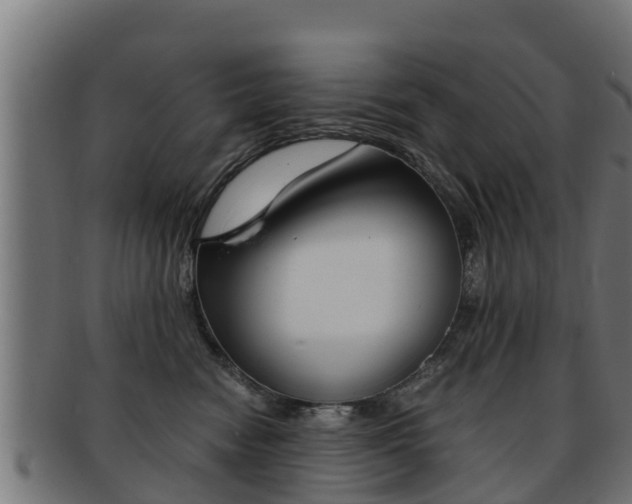 X0000091960474200709061104
