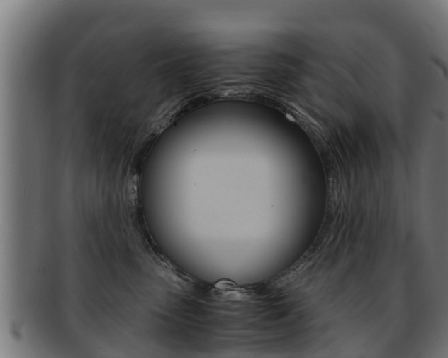 X0000091960475200709061104