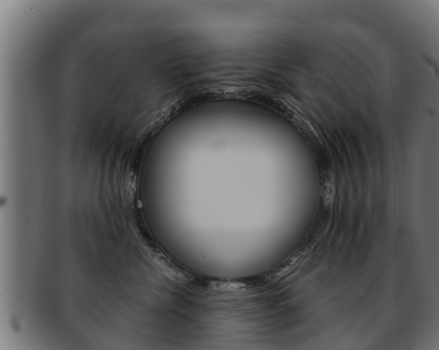 X0000091960476200709061104