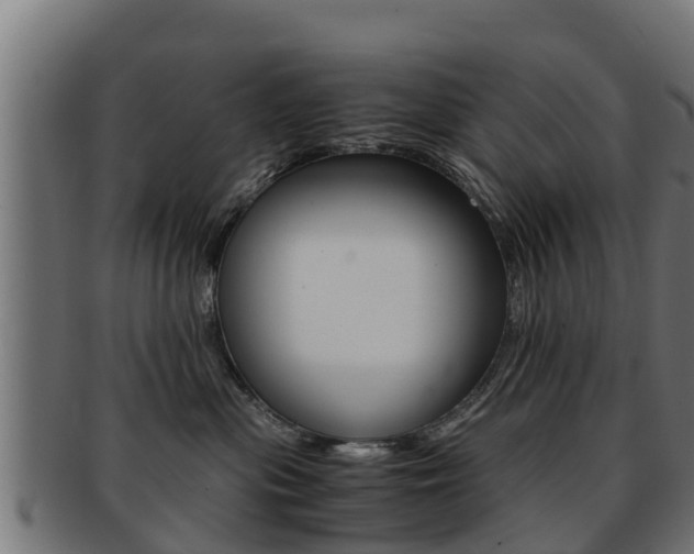 X0000091960477200709061104