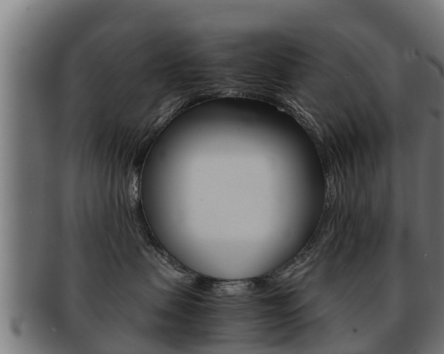 X0000091960479200709061104