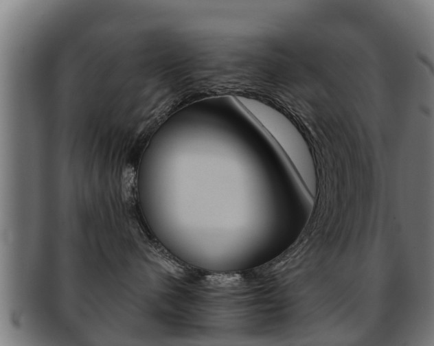 X0000091960480200709061104