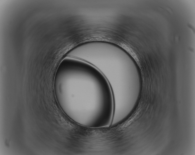 X0000091960481200709061103