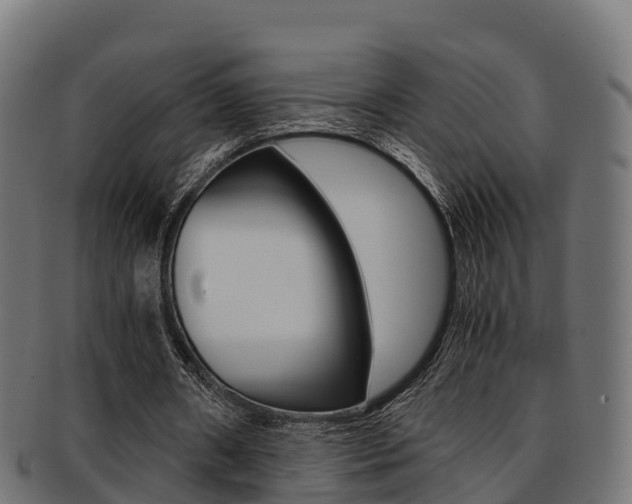 X0000091960482200709061103