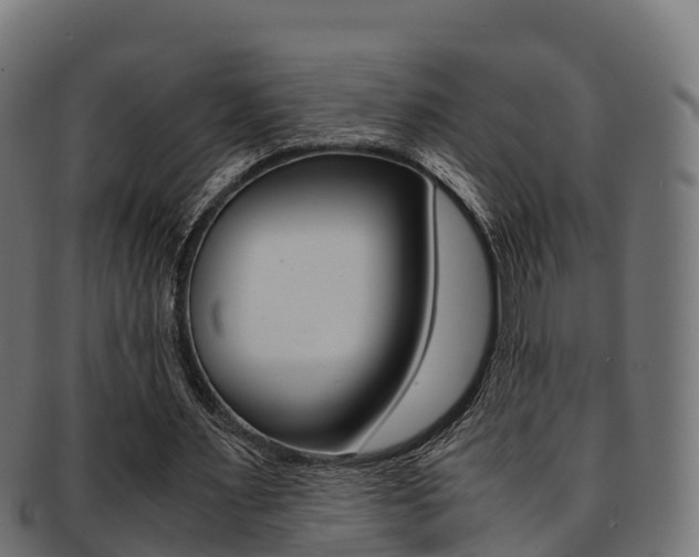 X0000091960483200709061103