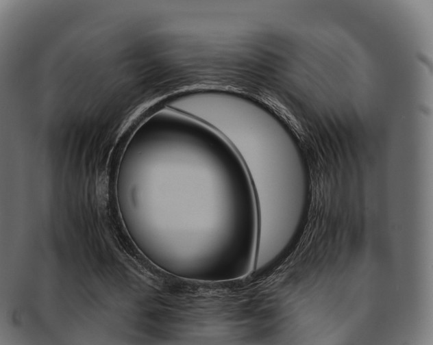 X0000091960484200709061103